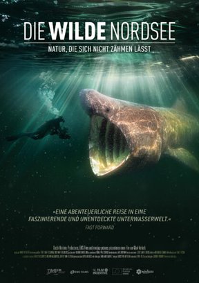 Die wilde Nordsee Plakat